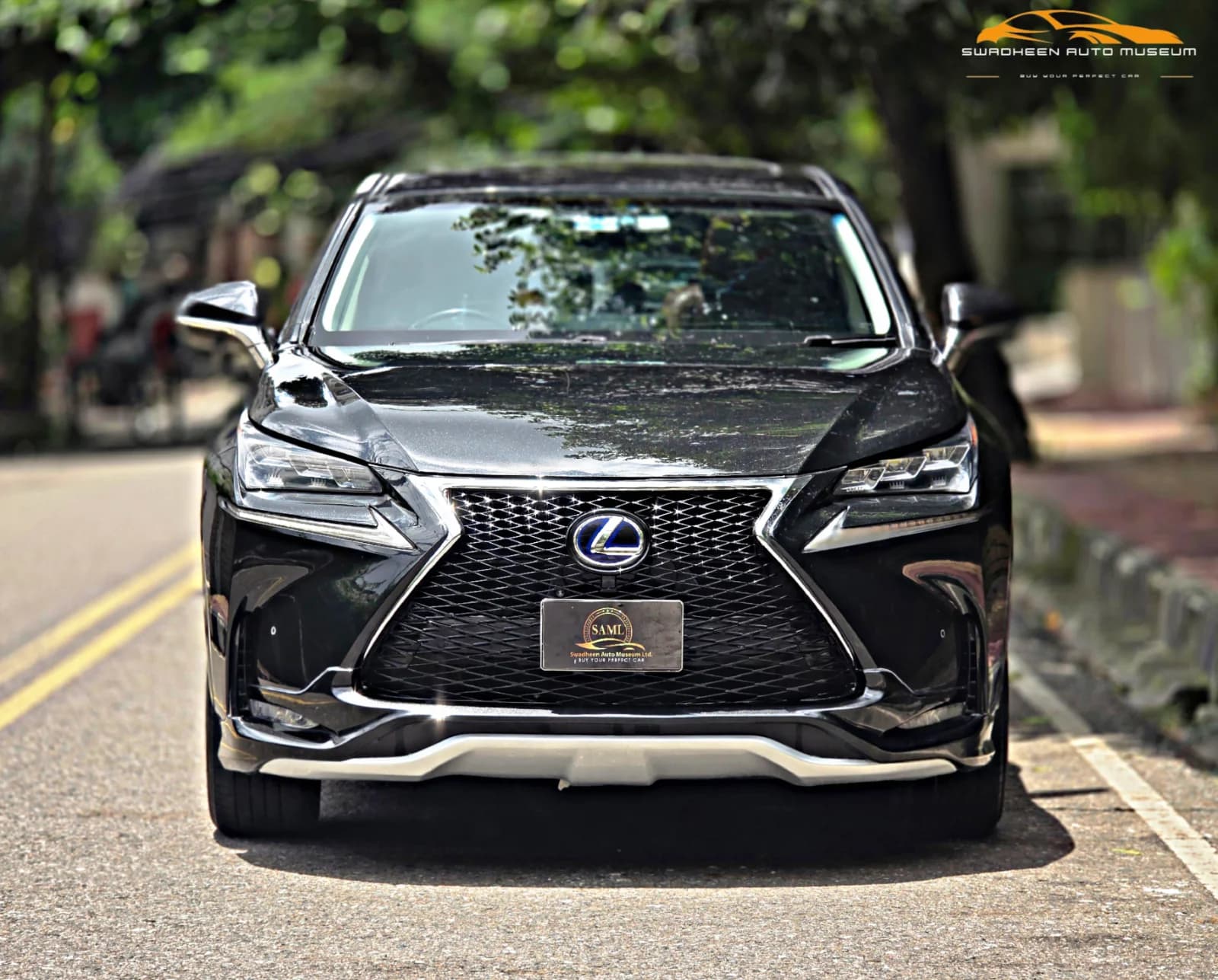 LEXUS NX 300H