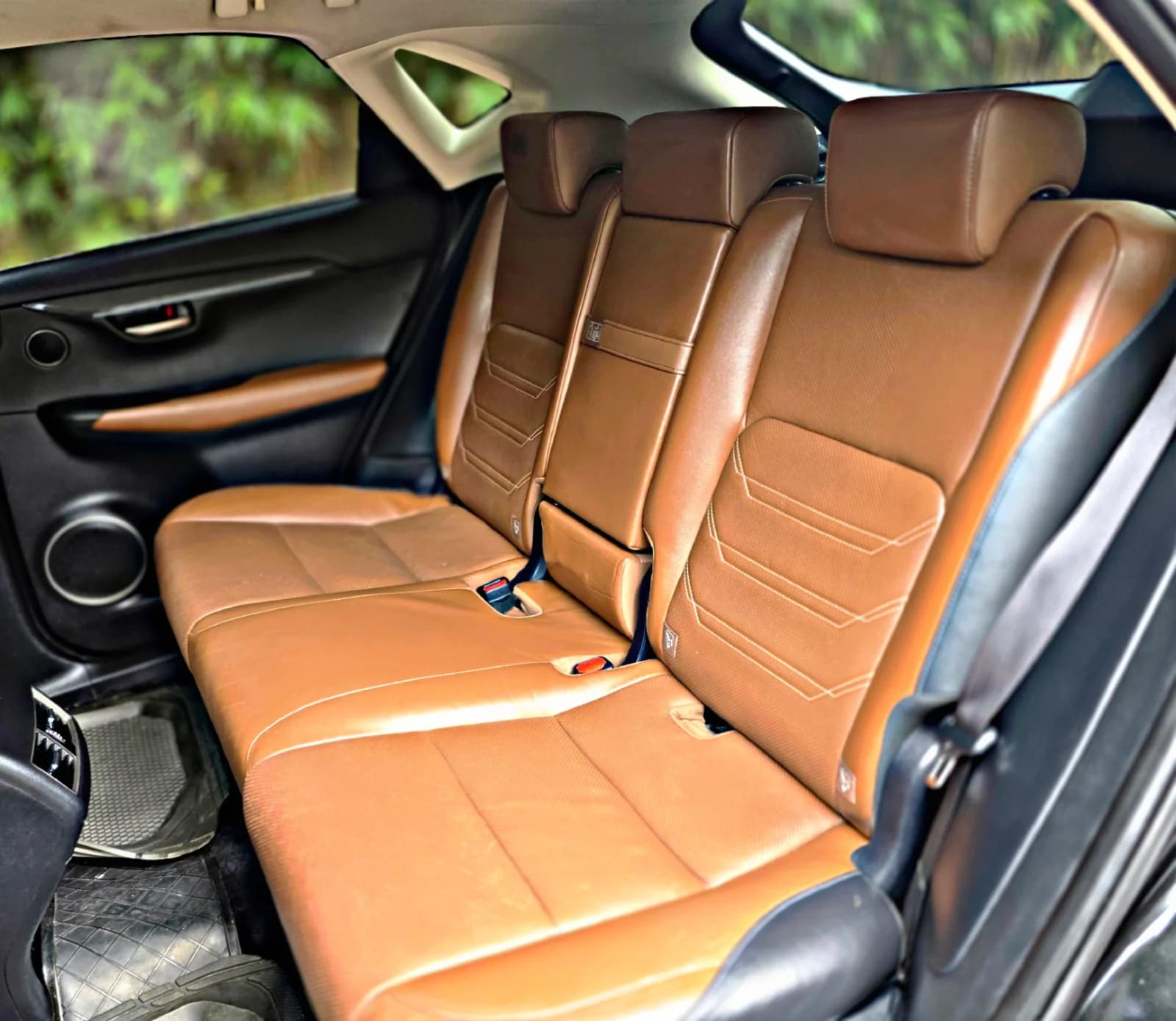 LEXUS NX 300H