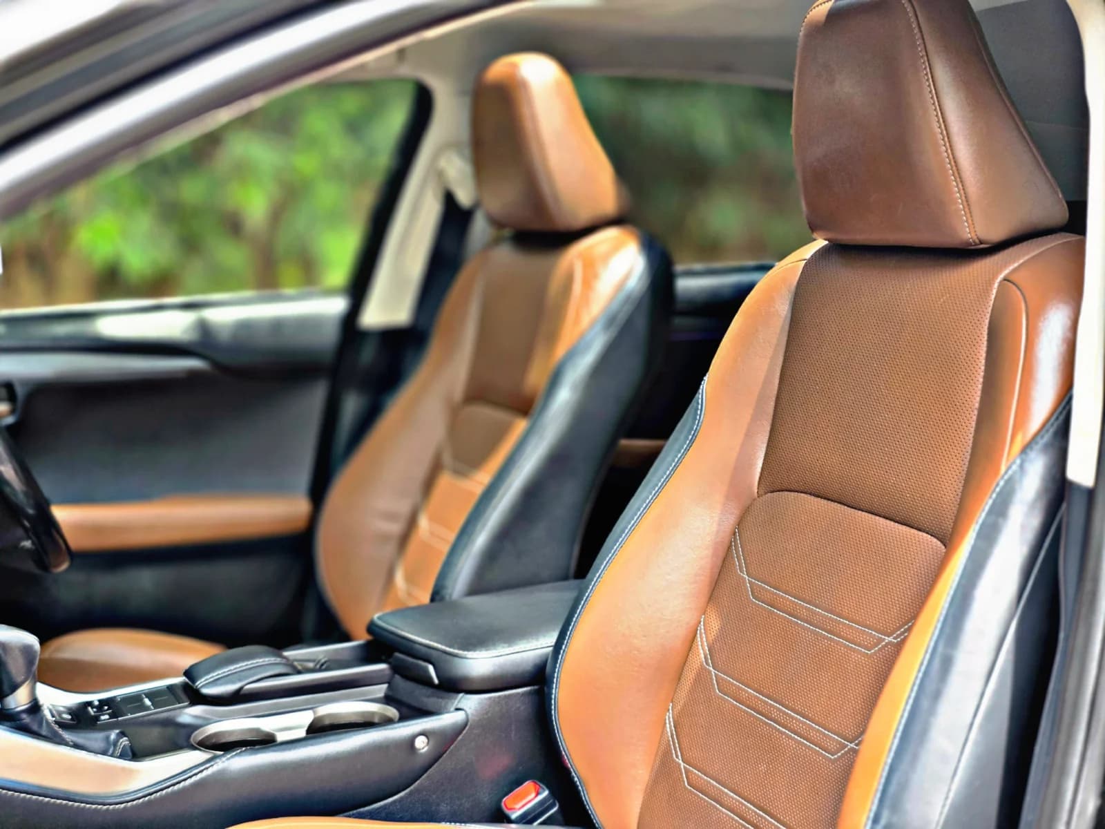 LEXUS NX 300H